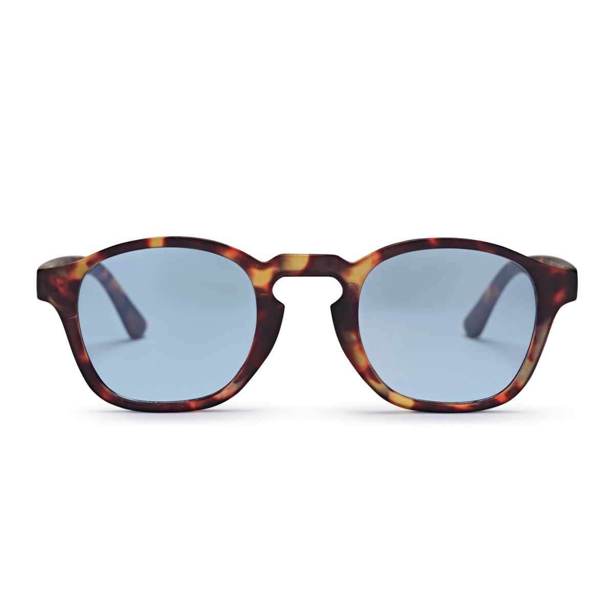CHPO Gee Turtle Brown Sunglasses