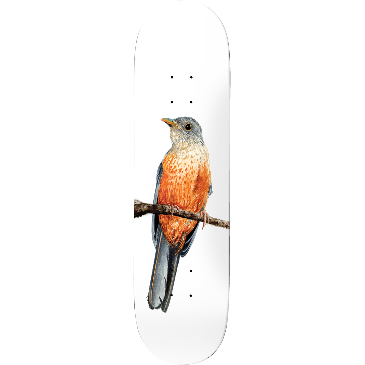 Deathwish Yuri Sabia-Laranjeira Facchini 8.125" Skateboard Deck