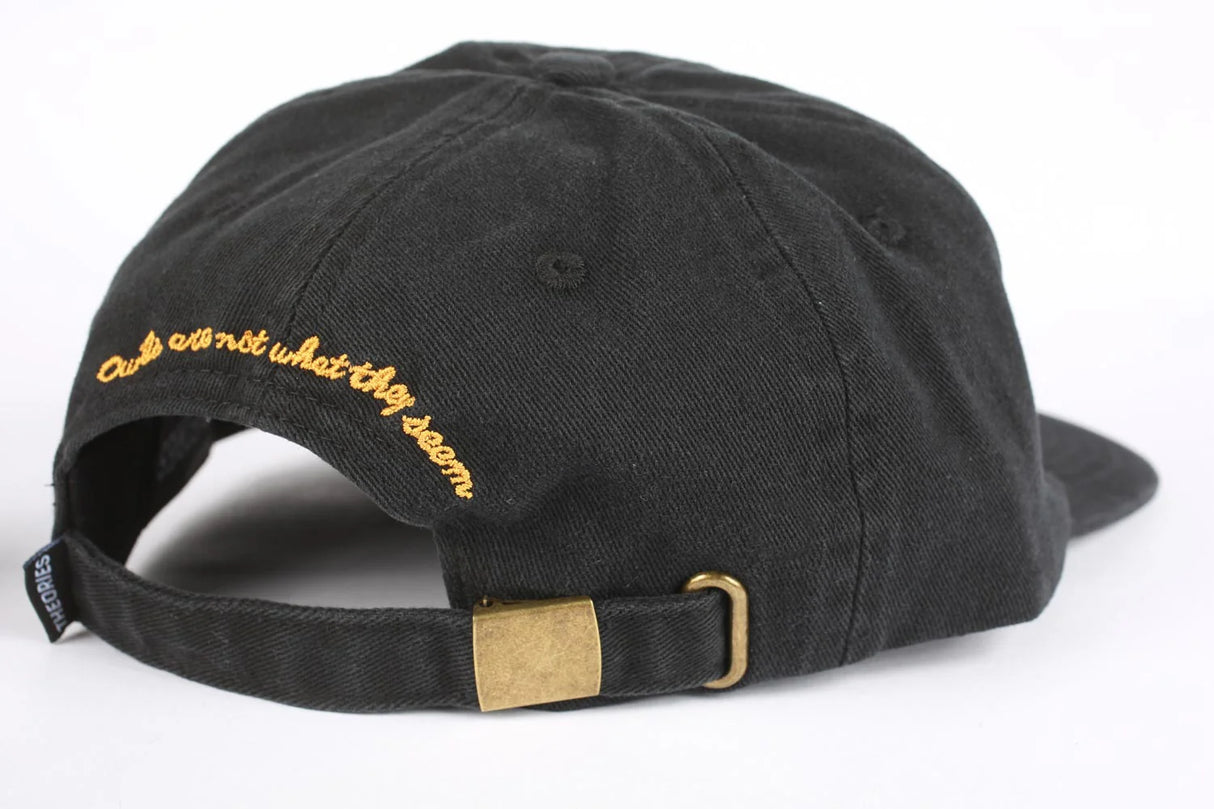 Theories Not What They Seem Black Strapback Hat