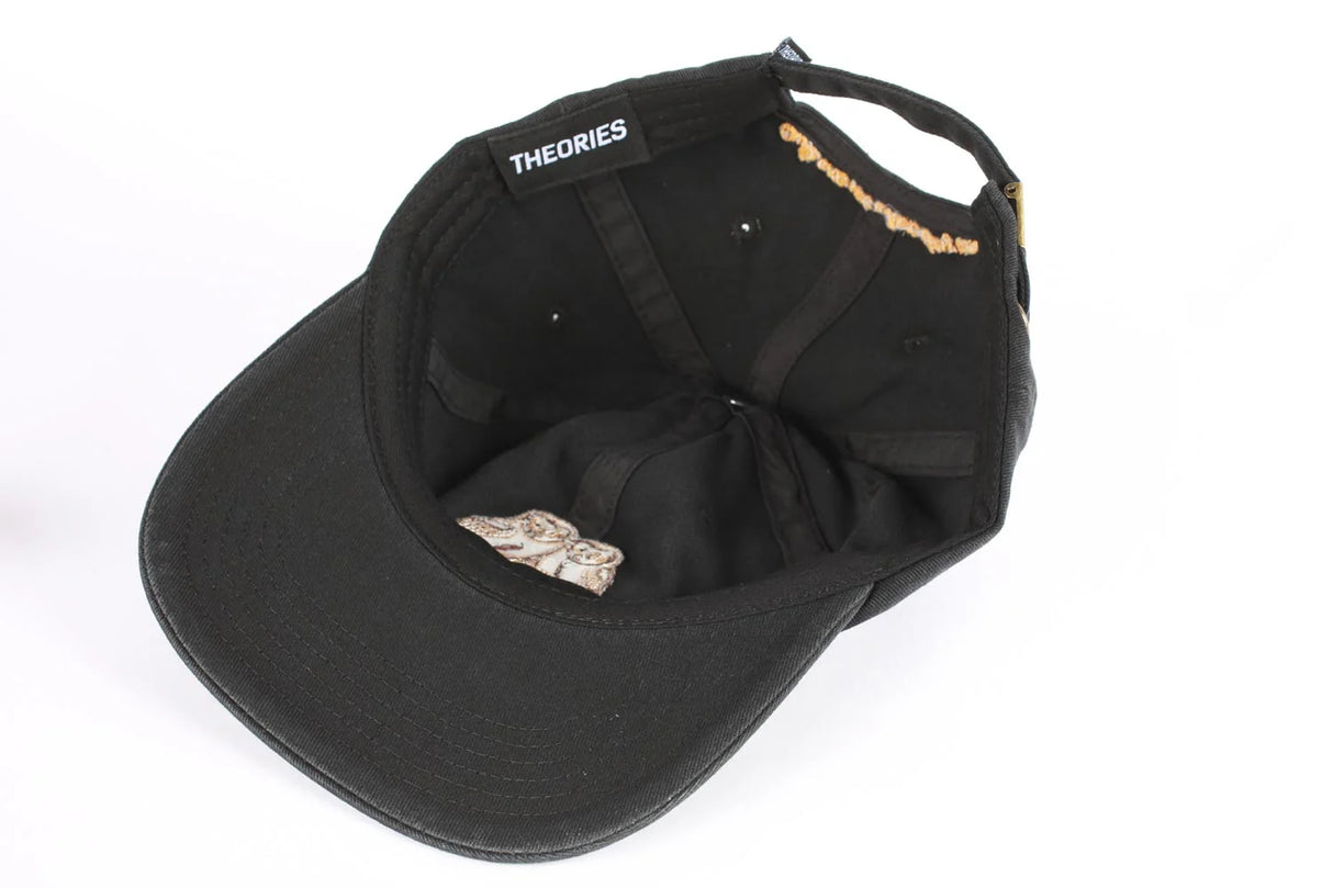 Theories Not What They Seem Black Strapback Hat