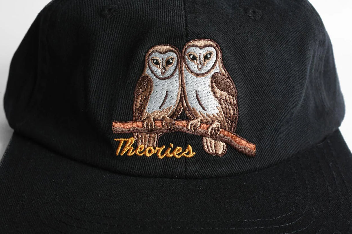 Theories Not What They Seem Black Strapback Hat