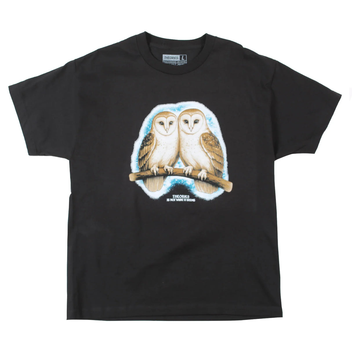 Theories Not What They Seem Black T-Shirt