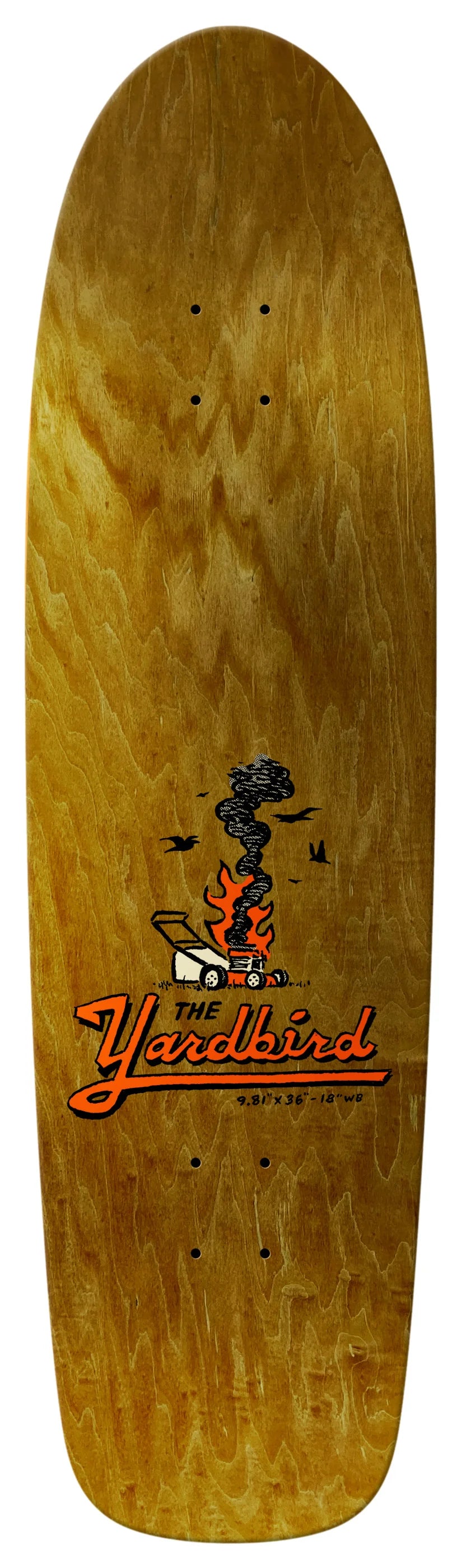 Anti-Hero Jalopi Yardbird 9.81" Shaped Skateboard Deck