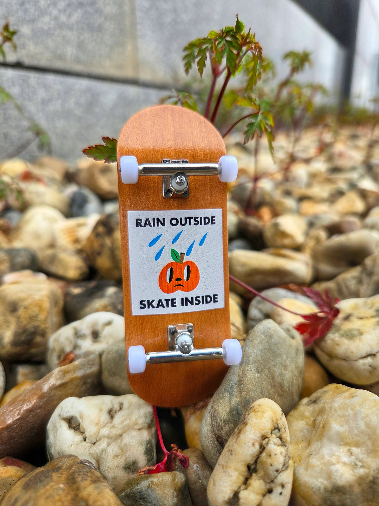 BullGod Alcobaca Apple Premium Fingerboard Complete
