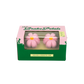 Moxi Brake Petals Pink Carnation (Set of 2) Toe Stops