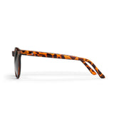 CHPO Toro Turtle Brown Sunglasses