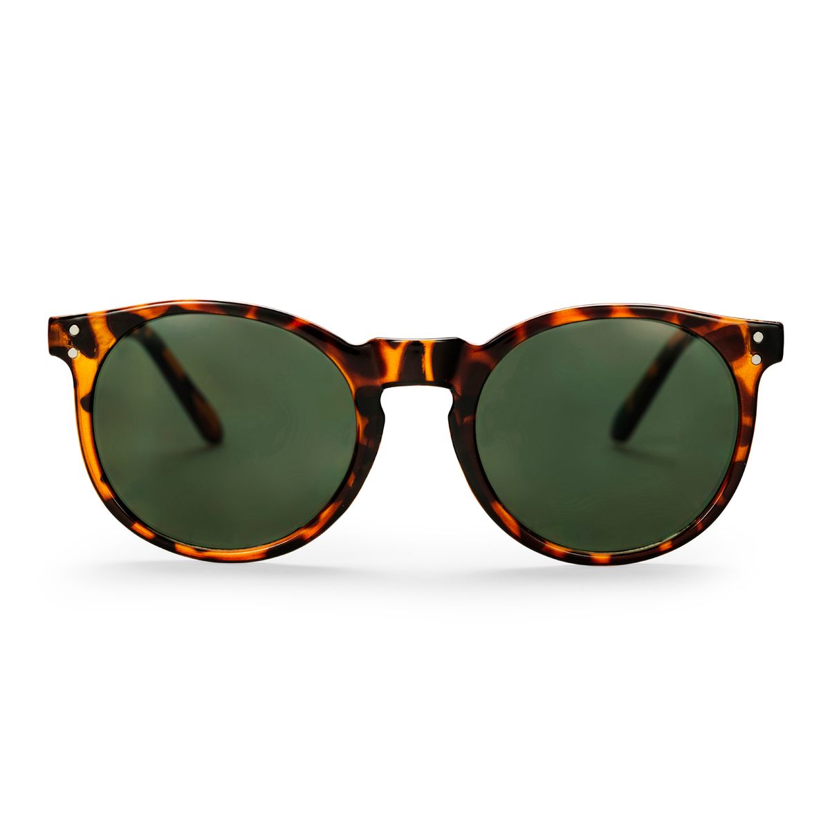 CHPO Toro Turtle Brown Sunglasses
