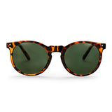 CHPO Toro Turtle Brown Sunglasses