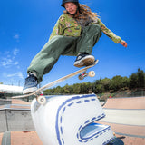 Etnies Emerson x FOS Navy/White Shoes