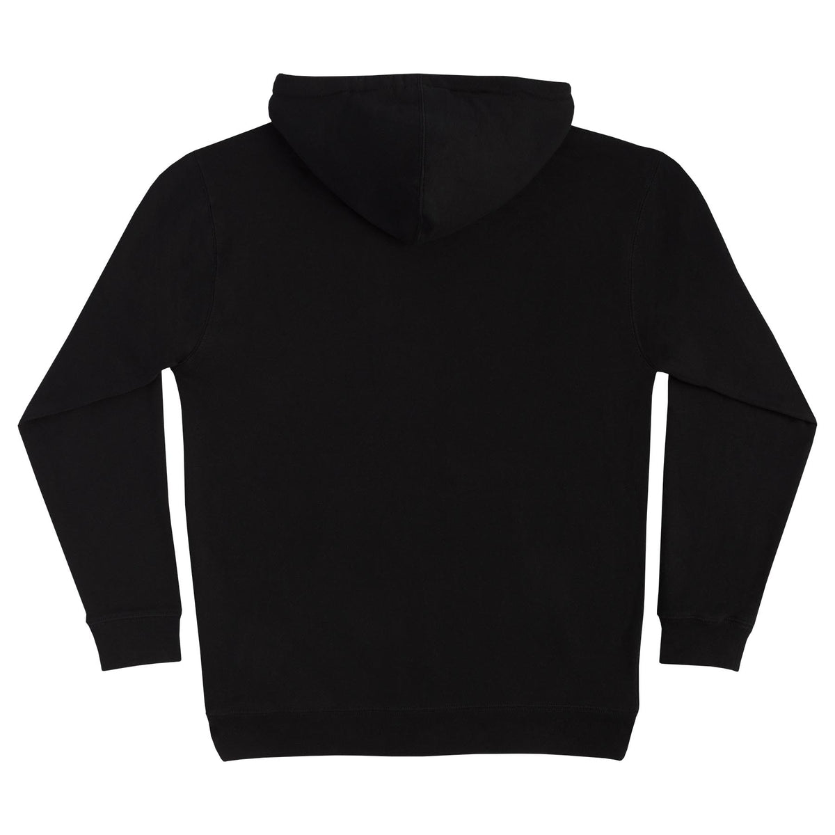 Creature Logo P/O Hooded Heavyweight Sweatshirt Black with Teal