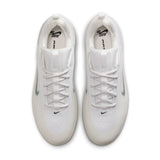 Nike SB Zoom Nyjah 4 White/Black Shoes