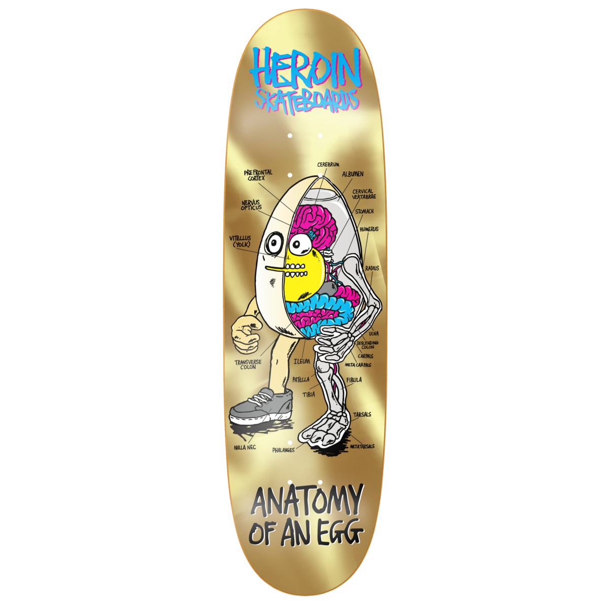 Heroin Anatomy Gold 8.75" Egg Shaped Skateboard Deck