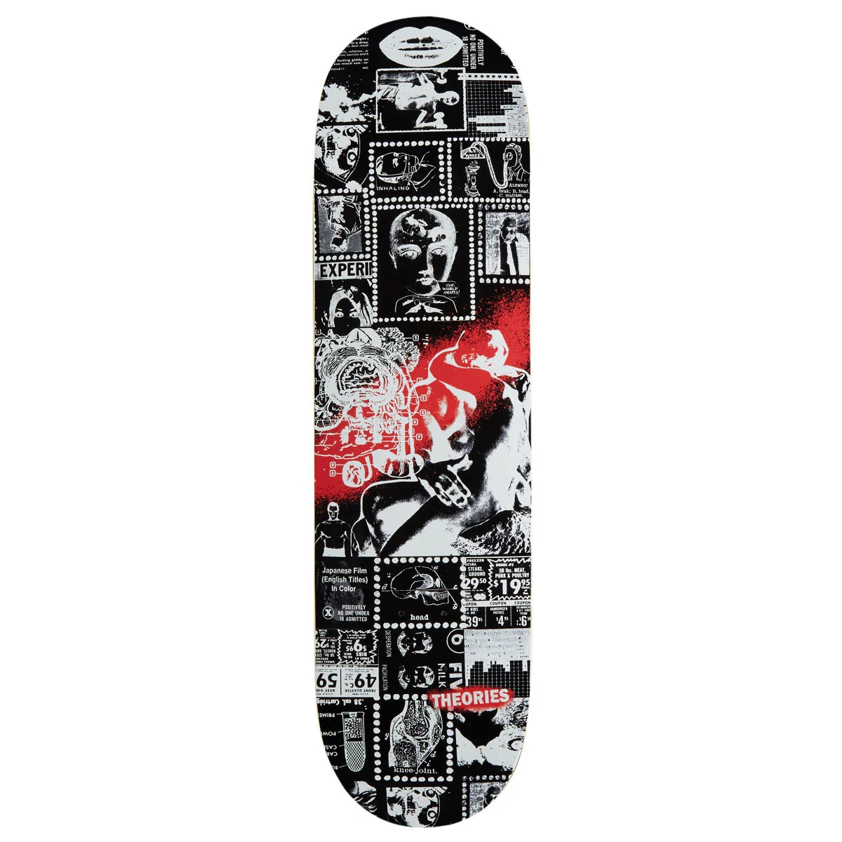 Theories Anatomy Skateboard Deck