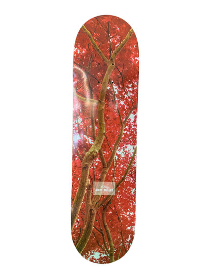Visual Matt Miller Blossom 8.06" Classic Skateboard Deck