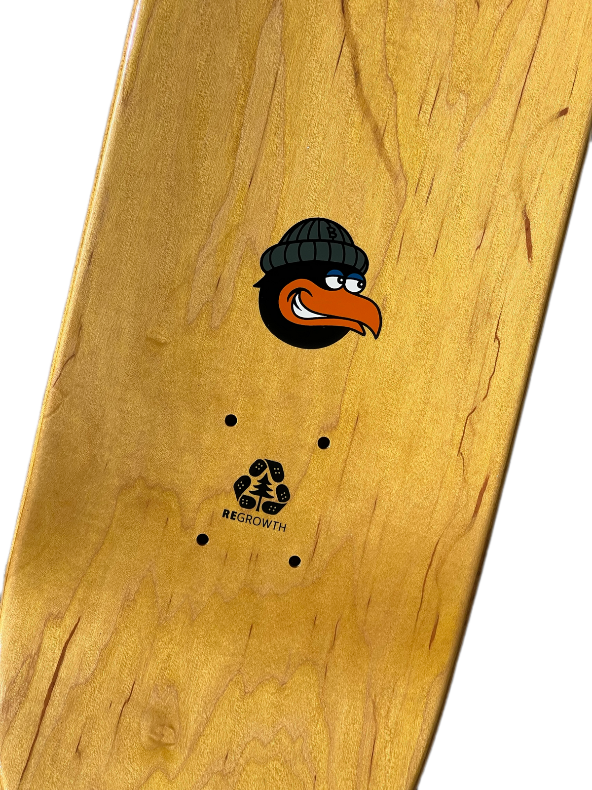 Darkstar Mike Berdis Flock Resin 7 8.0" Skateboard Deck