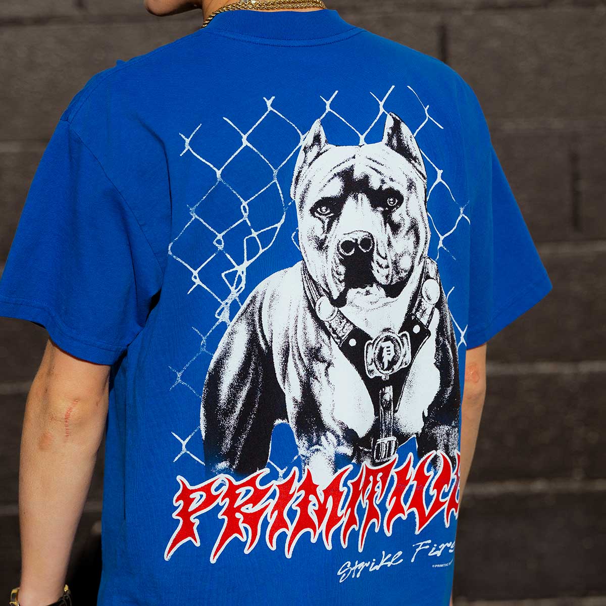 Primitive Vic Royal S/s Shirt