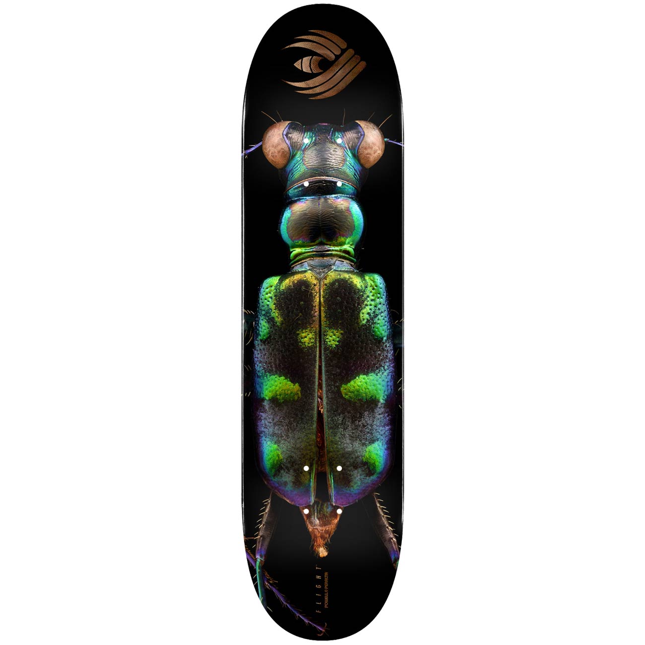 Powell Peralta Biss Flight Tiger Beetle 8.25" 248 K20 Skateboard Deck