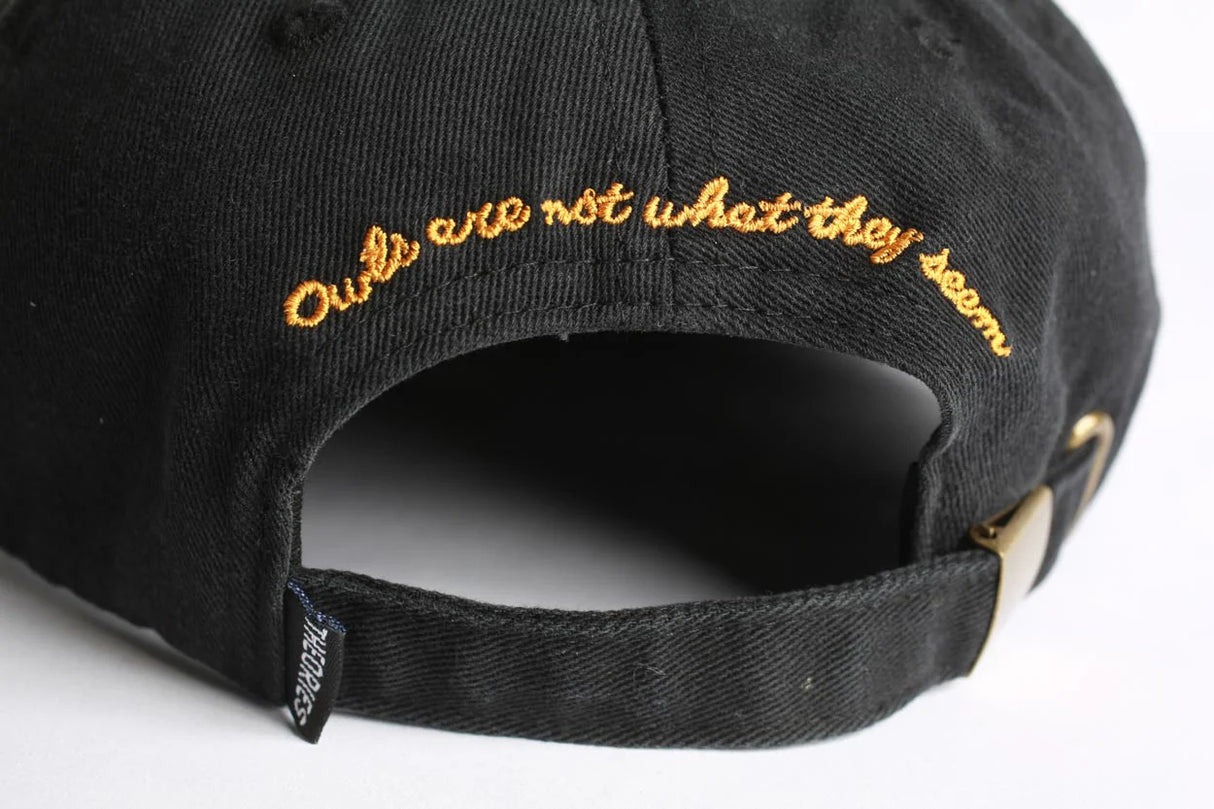Theories Not What They Seem Black Strapback Hat