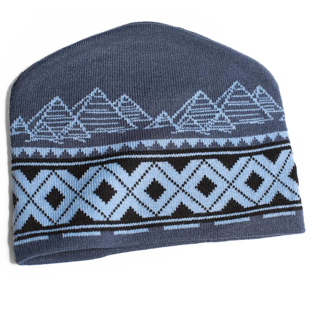 Theories Encoded Eggplant/Sky Blue Beanie