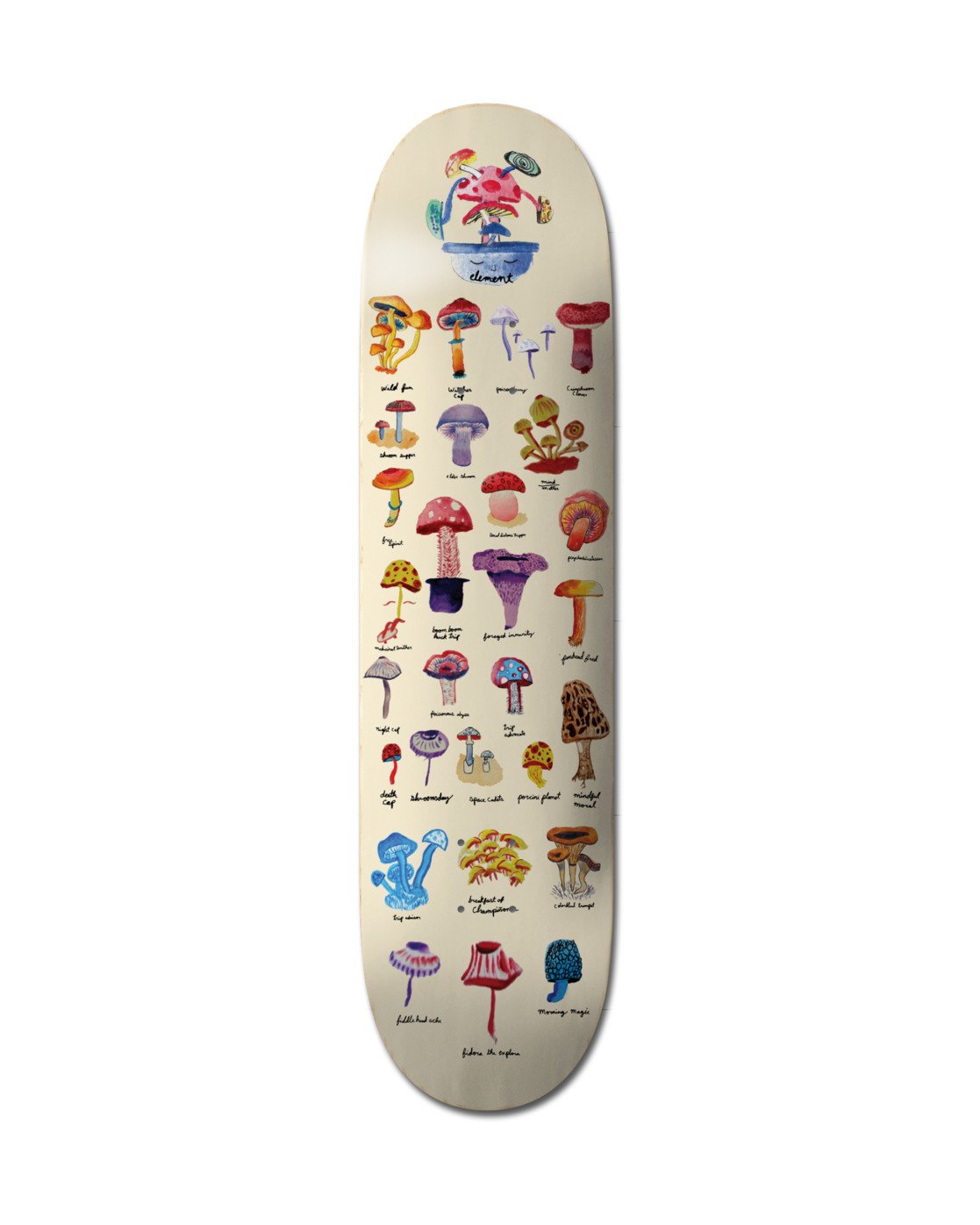 Element Field Guide 8.46" Skateboard Deck